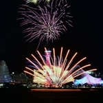 神戸のウォーターフロントを彩る花火＝２１日夜、神戸市中央区港島１、ポーアイしおさい公園から（撮影・大田将之）