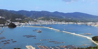 南あわじ市福良地区に完成した「湾口防波堤」。湾にふたをするように全長１．１キロに及ぶ＝４日午後、南あわじ市