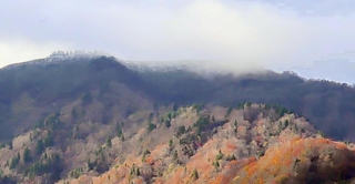 初冠雪となった氷ノ山山頂付近。山肌には紅葉も＝養父市福定