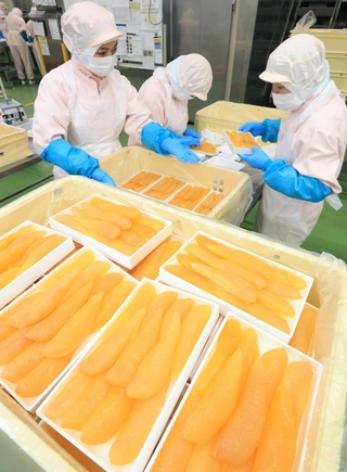 黒皮などを手作業で丁寧に取り除いてからパック詰めされる数の子＝兵庫県西宮市鳴尾浜３