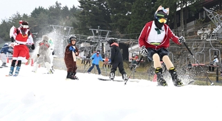 仮装してスキーを楽しむ人たち＝３０日午前、神戸市灘区六甲山町北六甲、六甲山スノーパーク（撮影・斎藤雅志）