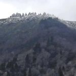 山頂付近にうっすら雪が積もった氷ノ山＝８日午前、養父市福定