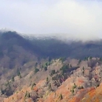 初冠雪となった氷ノ山山頂付近。山肌には紅葉も＝養父市福定