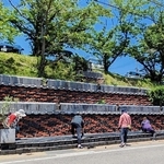 津井コミュニティクラブが整備した「３段瓦花壇」＝南あわじ市（兵庫県提供）