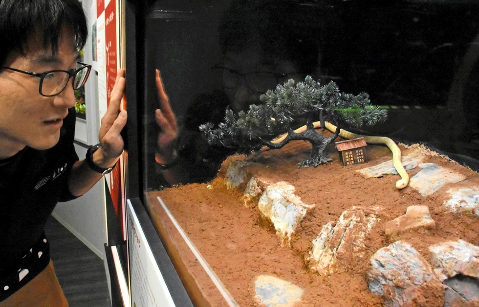 ミニ神✨オルゴナイト✨雲海神殿アルビノ赤目白蛇様抜け殻✨銀昇蛇龍 184585168_o2.jpg?