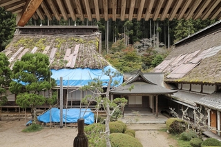 本堂（左）の屋根と来年修繕する庫裏（右）はいずれもトタン板で応急処置されている＝丹波市山南町太田