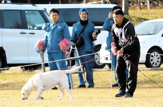 審査に臨む犬と指導員のペア＝兵庫県立三木総合防災公園