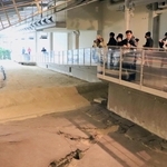 保存されている野島断層を見学する参加者＝７日午後、淡路市小倉、北淡震災記念公園