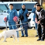 審査に臨む犬と指導員のペア＝兵庫県立三木総合防災公園
