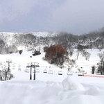 一面に雪が積もったハチ高原のスキー場＝１９日午前、養父市（撮影・吉田みなみ）