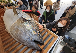 さい銭を張り付けられる大マグロ＝８日午前、西宮市社家町、西宮神社