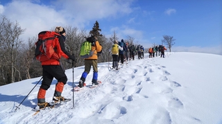 スノーシューを履いて雪山を進む登山会の参加者。厳寒期ならではの景色を満喫できる＝宍粟市千種町