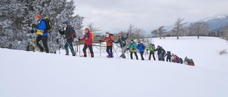 スノーシューを履いて雪山を進む登山会の参加者。厳寒期ならではの景色を満喫できる＝宍粟市千種町