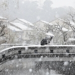 雪が舞う城崎温泉街＝９日午前、豊岡市城崎町（撮影・丸山桃奈）