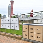 兵庫県知事選で増設されたポスター掲示板。神戸市内の一部では２６人分の枠が設けられた＝２０２４年１０月、神戸市中央区