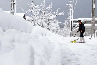 １月１０日に３２センチの積雪が観測された豊岡市内