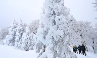 氷ノ山山頂に向かう尾根筋に姿を現した巨大な樹氷「モンスター」＝１１日午後、養父市