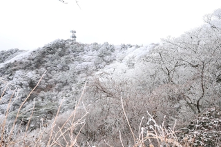 寒波による雪で真っ白になった六甲山最高峰付近＝19日午前、神戸市北区