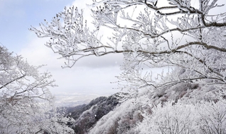 寒波による雪で真っ白になった六甲山最高峰付近＝19日午前、神戸市北区