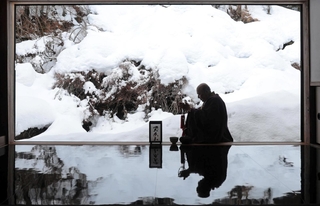 雪で覆われたドウダンツツジ＝豊岡市但東町相田、安国寺