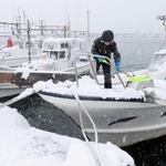 船に積もった雪を落とす男性＝４日午後、香美町香住区若松の香住漁港西港