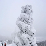 氷ノ山山頂に向かう尾根筋に姿を現した巨大な樹氷「モンスター」＝１１日午後、養父市