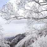 寒波による雪で真っ白になった六甲山最高峰付近＝19日午前、神戸市北区