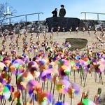 枯れた芝生斜面を彩る花の形をした風車＝淡路市夢舞台、国営明石海峡公園