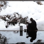 雪で覆われたドウダンツツジ＝豊岡市但東町相田、安国寺