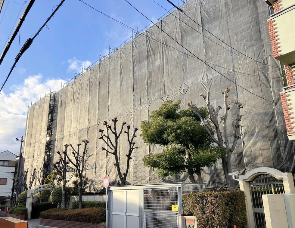 公式通販サイトセール a_18798588.jpg ビジネス+経済