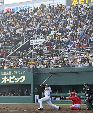 多くの観客が見守る中、同点打を放つ阪神・佐野＝１日午後、尼崎市杭瀬南新町３、日鉄鋼板ＳＧＬスタジアム尼崎（撮影・風斗雅博）
