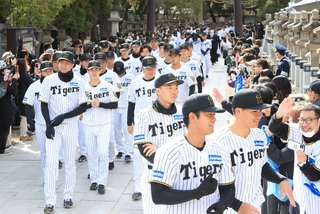 ファンらに迎えられて参拝する阪神タイガースの選手たち＝６日午前、西宮神社（撮影・吉田敦史）