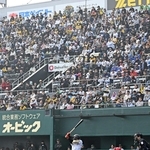 多くの観客が見守る中、同点打を放つ阪神・佐野＝１日午後、尼崎市杭瀬南新町３、日鉄鋼板ＳＧＬスタジアム尼崎（撮影・風斗雅博）