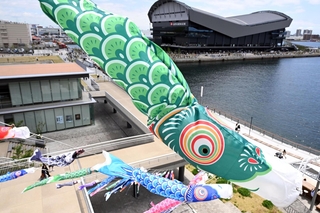 神戸ポートミュージアムに掲揚された色とりどりのこいのぼり＝神戸市中央区新港町（撮影・風斗雅博）