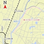 神戸新聞NEXT