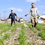 大麦畑に肥料をまく田中康太さん（右）と八木宣英さん＝姫路市網干区津市場