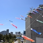神戸ポートミュージアムに掲揚された色とりどりのこいのぼり＝神戸市中央区新港町（撮影・風斗雅博）