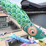 神戸ポートミュージアムに掲揚された色とりどりのこいのぼり＝神戸市中央区新港町（撮影・風斗雅博）