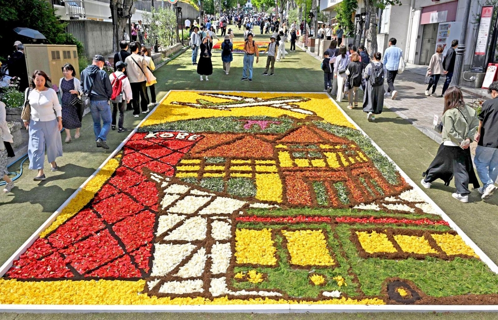 花びら敷き詰めた「絵画」GWの神戸彩る 「インフィオラータ