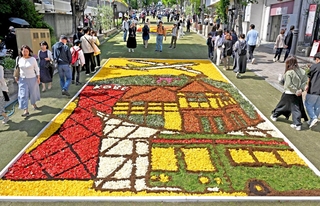 花を敷き詰めた絵が街を彩る「インフィオラータこうべ２０２５」＝３日午後、神戸市中央区山本通（撮影・大田将之）