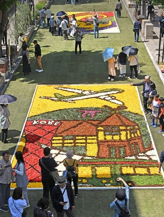 花で描いた絵が街を彩る「インフィオラータこうべ北野坂２０２５」＝３日午後、神戸市中央区山本通（撮影・大田将之）