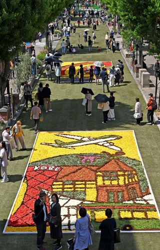 花で描いた絵が街を彩る「インフィオラータこうべ北野坂２０２５」＝３日午後、神戸市中央区山本通（撮影・大田将之）