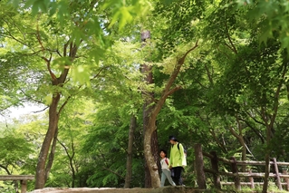 新緑に包まれた再度公園＝４日、神戸市北区山田町下谷上（撮影・丸山桃奈）