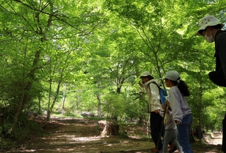 新緑に包まれた再度公園＝４日、神戸市北区山田町下谷上（撮影・丸山桃奈）