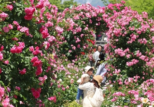 バラのアーチも楽しめる「ローズガーデン」＝神戸市東灘区向洋町中６