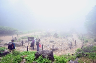 霧に覆われた六甲山上＝２１日、神戸・六甲高山植物園