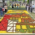 花を敷き詰めた絵が街を彩る「インフィオラータこうべ２０２５」＝３日午後、神戸市中央区山本通（撮影・大田将之）