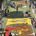 花で描いた絵が街を彩る「インフィオラータこうべ北野坂２０２５」＝３日午後、神戸市中央区山本通（撮影・大田将之）