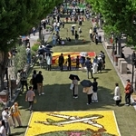 花で描いた絵が街を彩る「インフィオラータこうべ北野坂２０２５」＝３日午後、神戸市中央区山本通（撮影・大田将之）