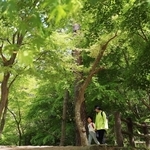 新緑に包まれた再度公園＝４日、神戸市北区山田町下谷上（撮影・丸山桃奈）